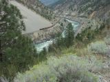 a Rockies 4
